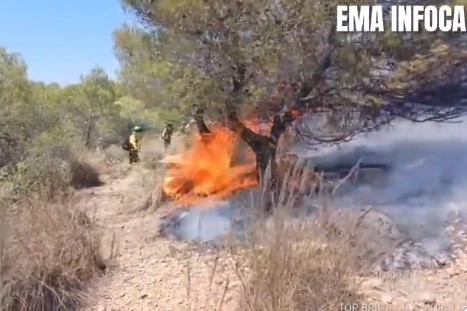BENAMAUREL: El incendio en Las Asperillas se salda con 100 hectáreas quemadas por una negligencia